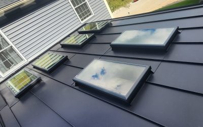 WhatsApp Image 2026-02-10 at 4.06.14 PM (1)