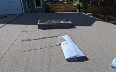 WhatsApp Image 2026-02-10 at 4.06.14 PM (3)