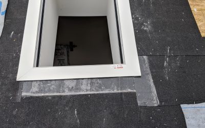 WhatsApp Image 2026-02-10 at 4.06.14 PM (4)