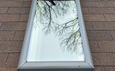 WhatsApp Image 2026-02-10 at 4.06.14 PM (5)