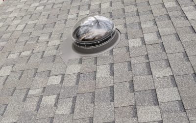 WhatsApp Image 2026-02-10 at 4.06.14 PM (6)