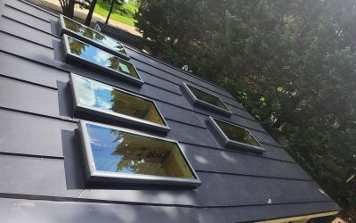 WhatsApp Image 2026-02-10 at 4.06.14 PM